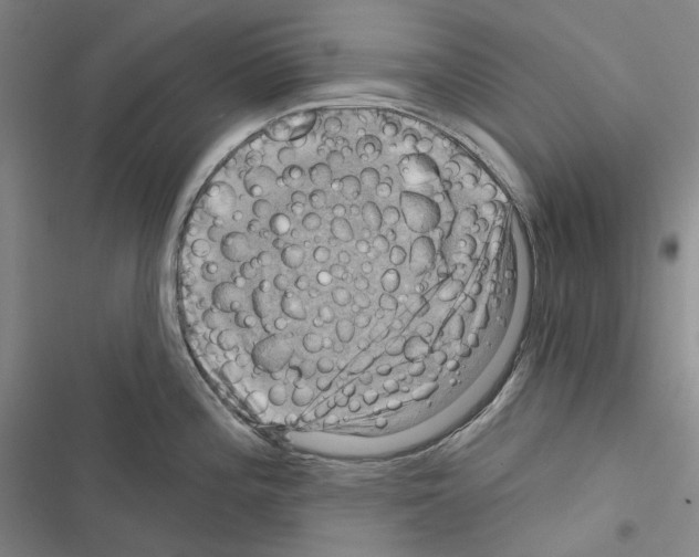 X0000116451196201001191546