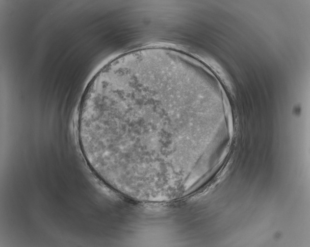 X0000116451198201001191546