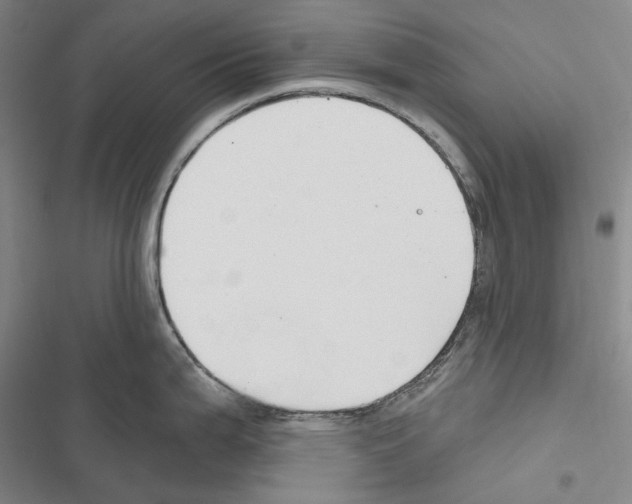 X0000116451199201001191546