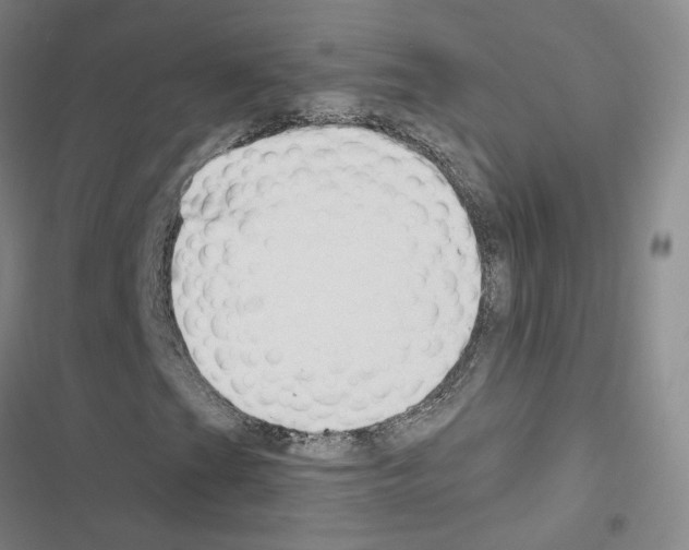 X0000116451201201001191545