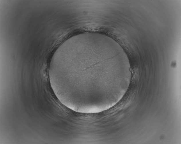 X0000116451202201001191545