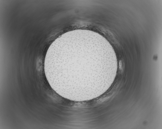 X0000116451203201001191545