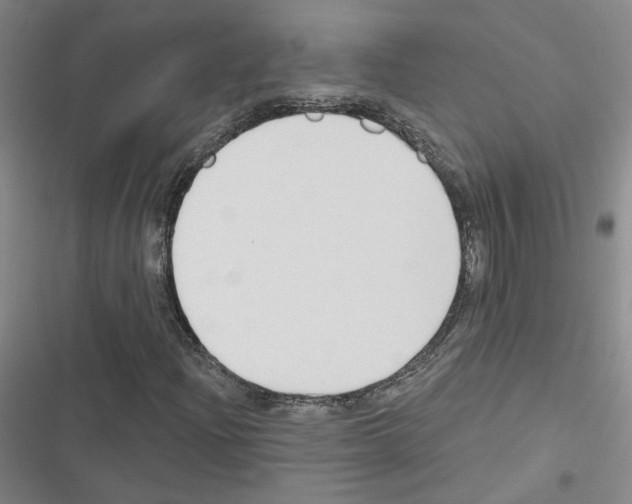 X0000116451204201001191545