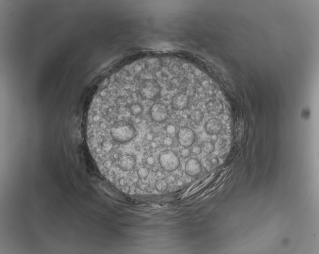 X0000116451205201001191545