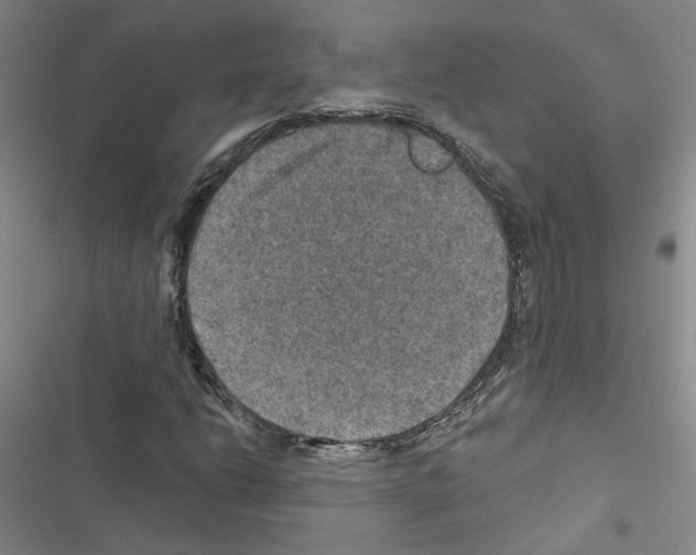 X0000116451206201001191545
