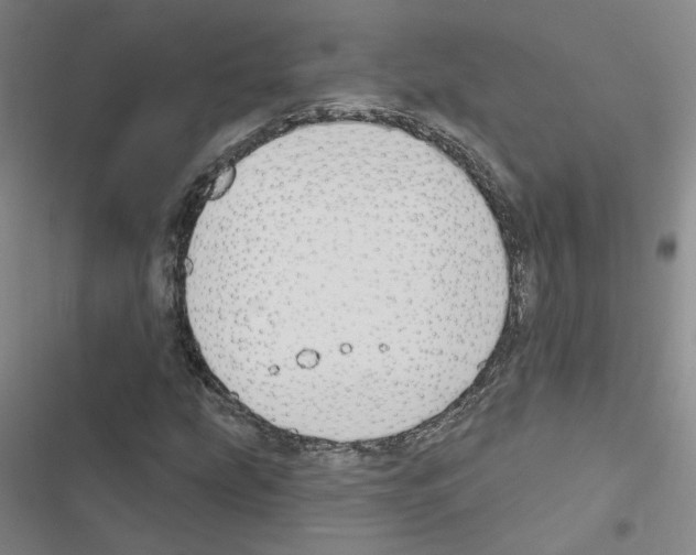 X0000116451207201001191545