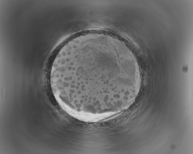 X0000116451208201001191545