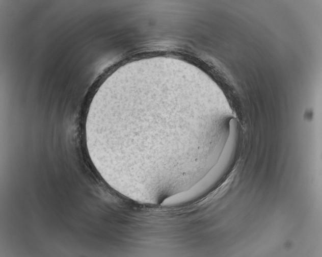 X0000116451210201001191545