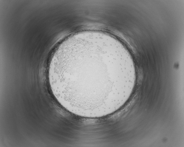 X0000116451211201001191545