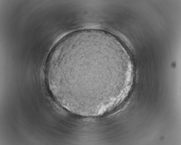 X0000116451212201001191545