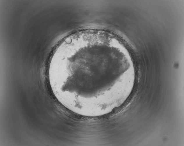 X0000116451213201001191546