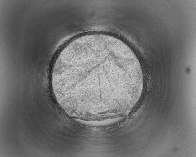 X0000116451214201001191546