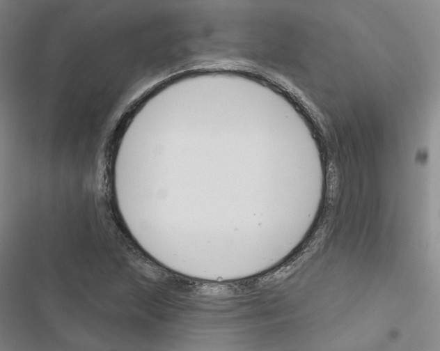 X0000116451215201001191546