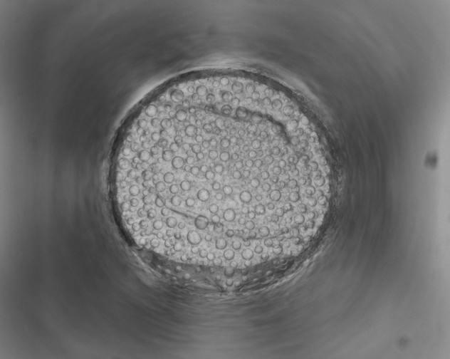 X0000116451216201001191546