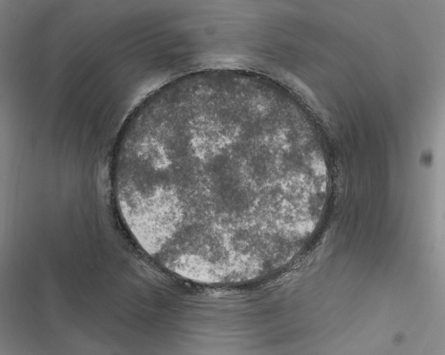 X0000116451218201001191546
