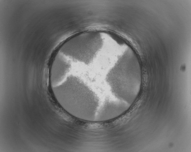 X0000116451219201001191546