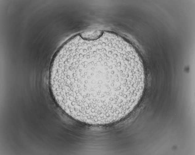 X0000116451220201001191546