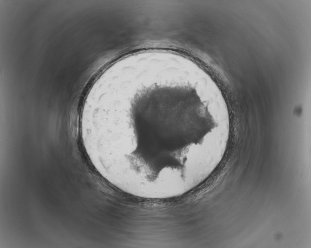 X0000116451221201001191546