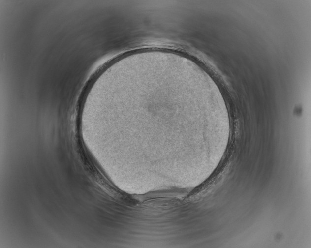 X0000116451222201001191546