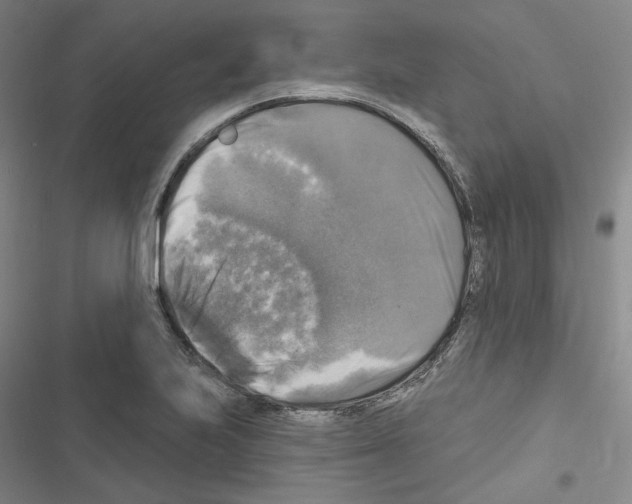 X0000116451223201001191546