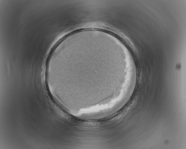X0000116451224201001191546