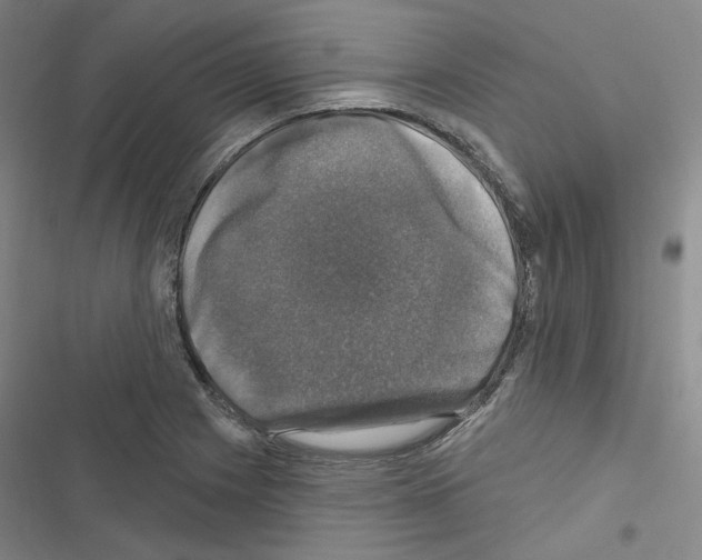 X0000116451225201001191546