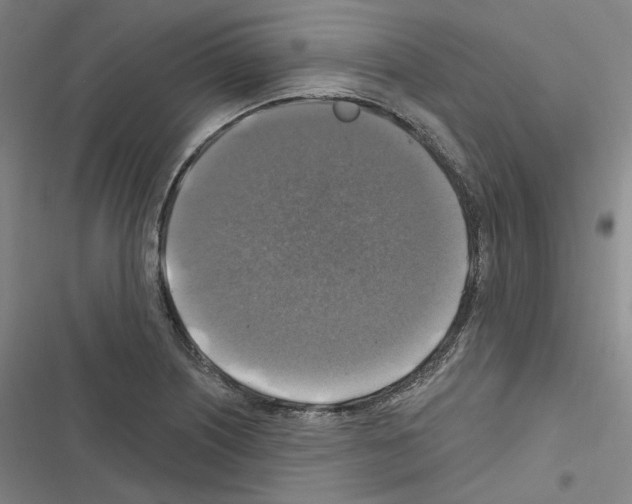 X0000116451226201001191546