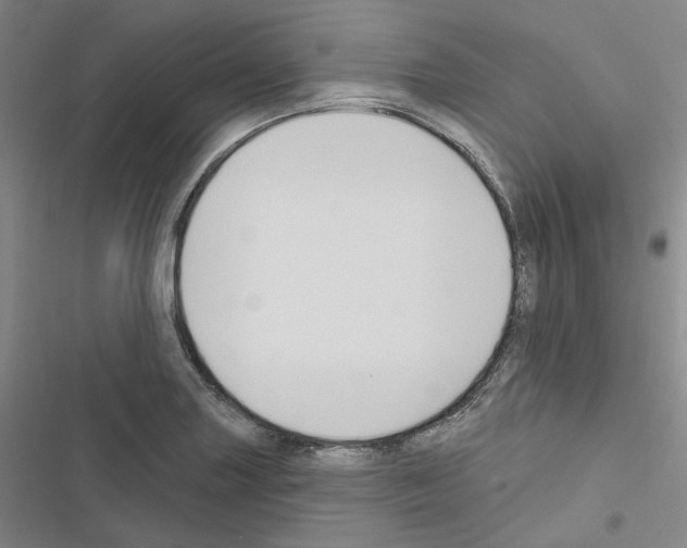 X0000116451227201001191546