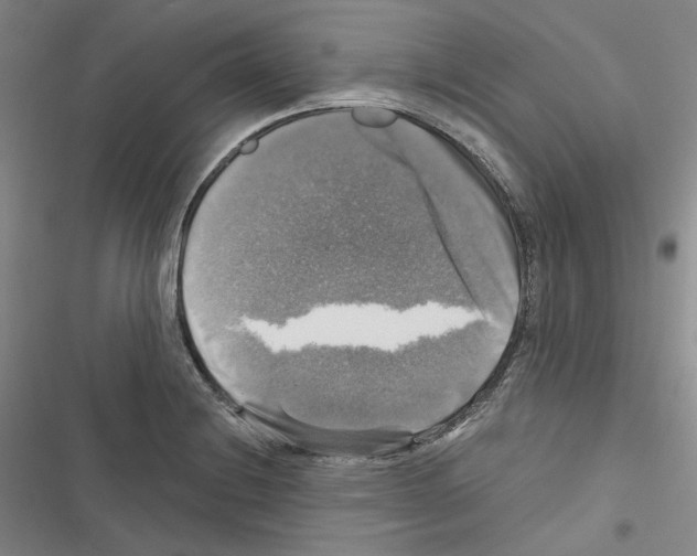 X0000116451228201001191546