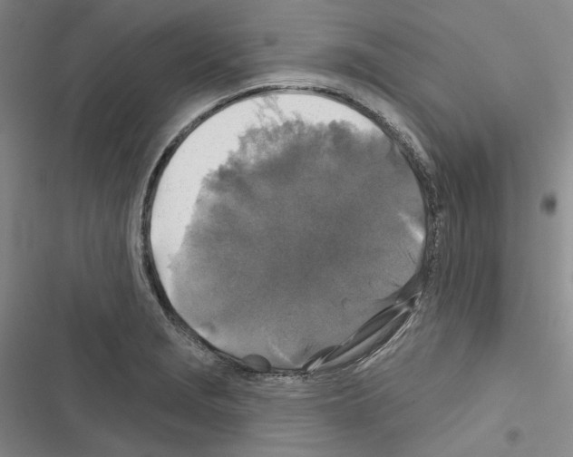 X0000116451229201001191546