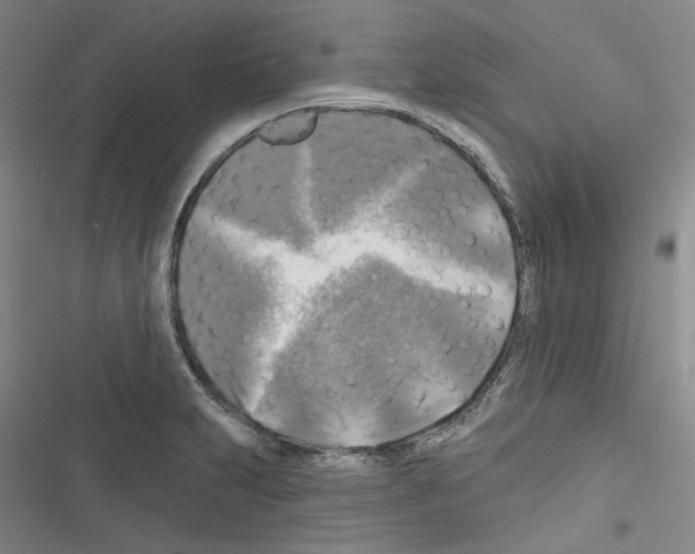 X0000116451231201001191546