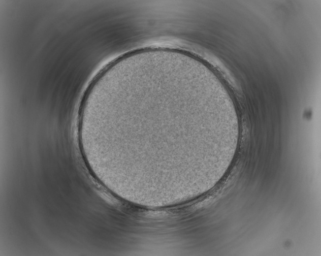 X0000116451232201001191546