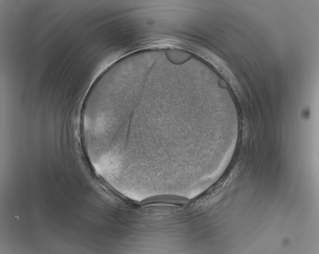 X0000116451234201001191546