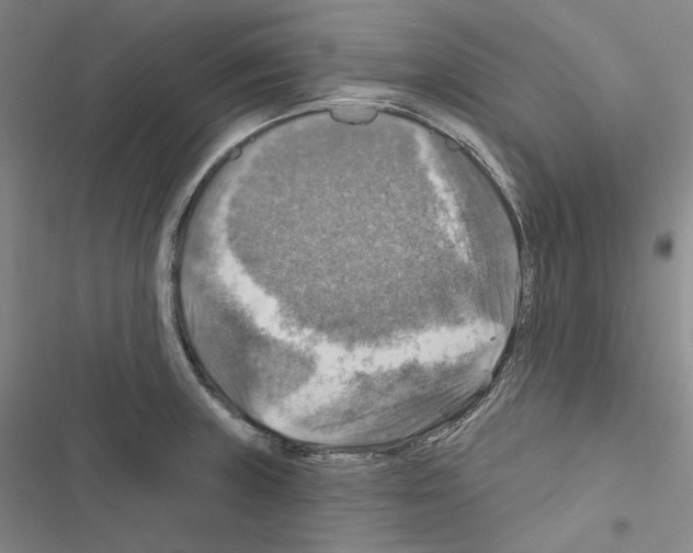 X0000116451235201001191546