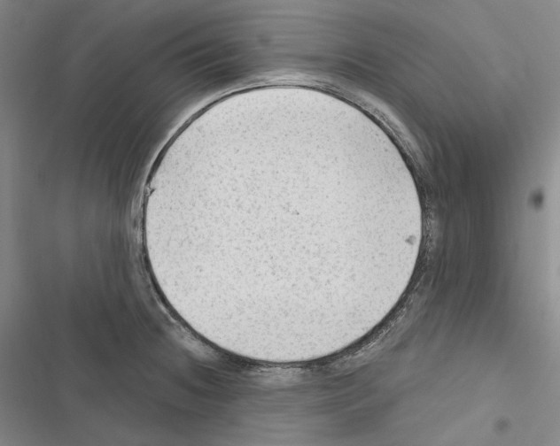 X0000116451236201001191546
