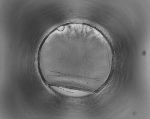 X0000116451237201001191546