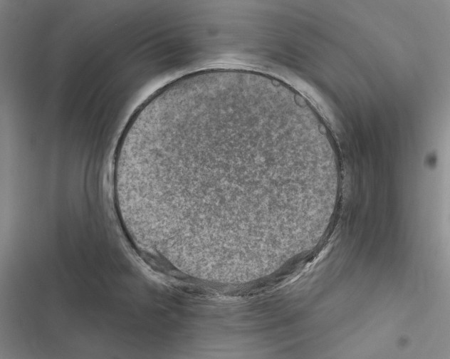 X0000116451238201001191546