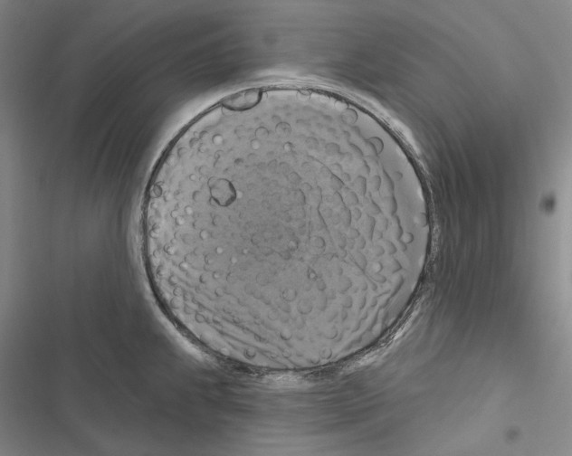 X0000116451239201001191546