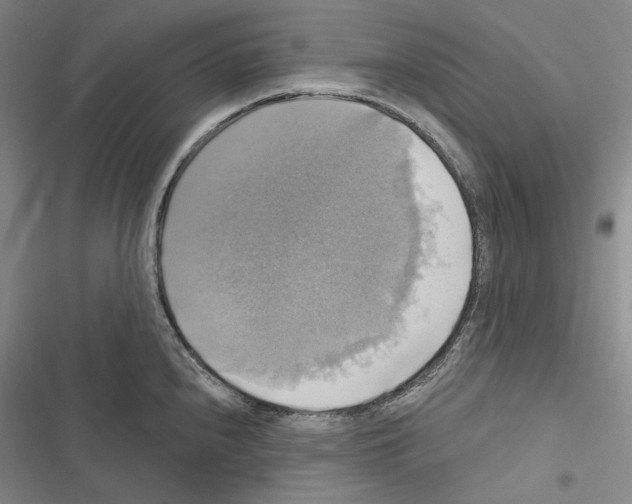 X0000116451240201001191546