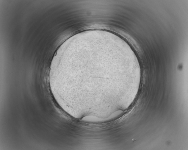 X0000116451241201001191546