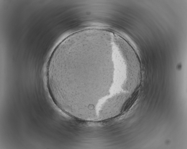 X0000116451243201001191546