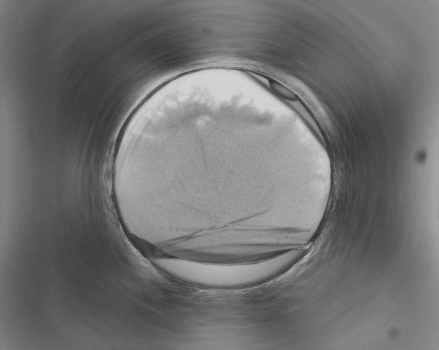 X0000116451244201001191546