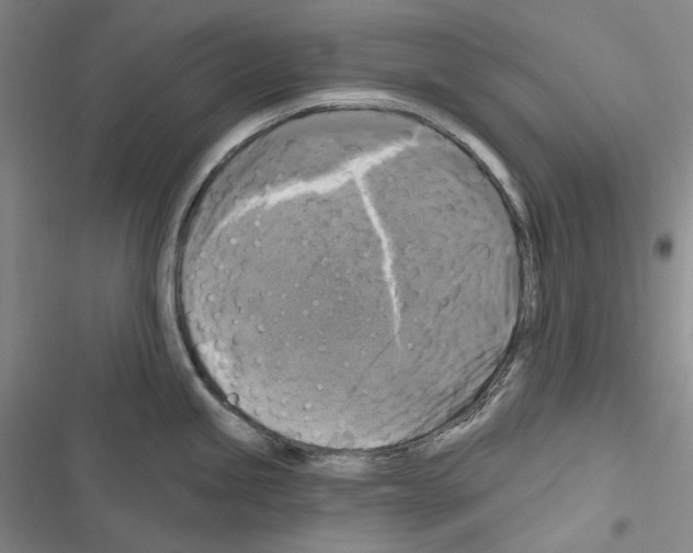 X0000116451245201001191546