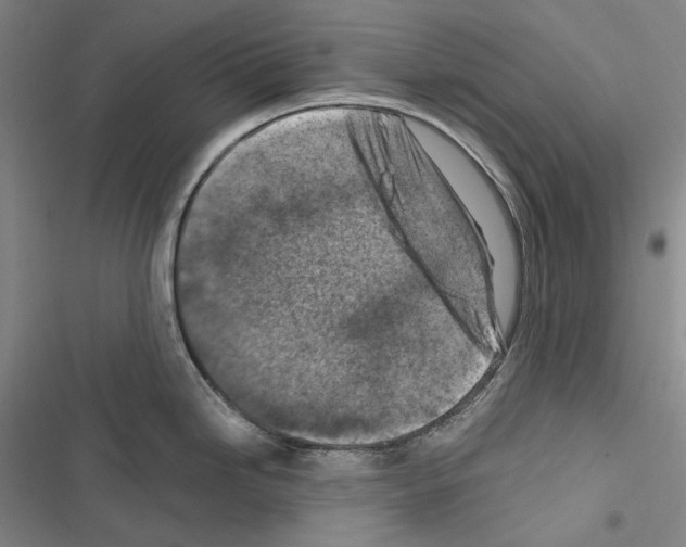 X0000116451246201001191546