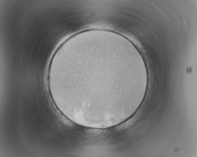 X0000116451248201001191546