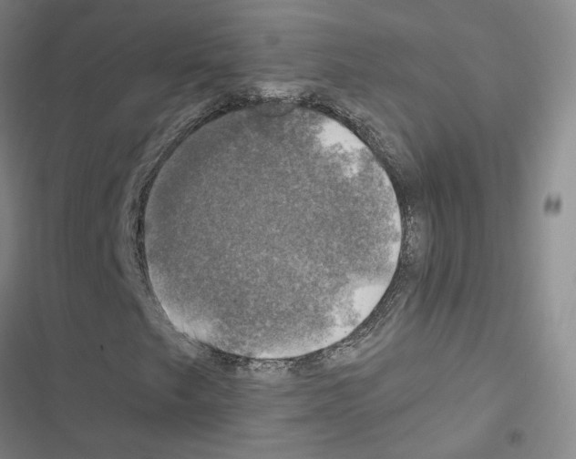 X0000116451249201001191545