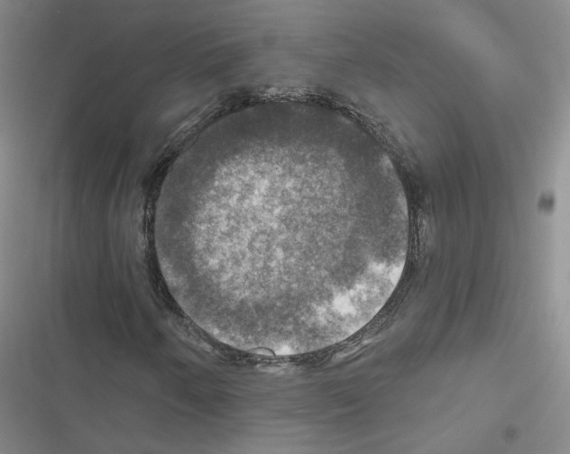 X0000116451250201001191545