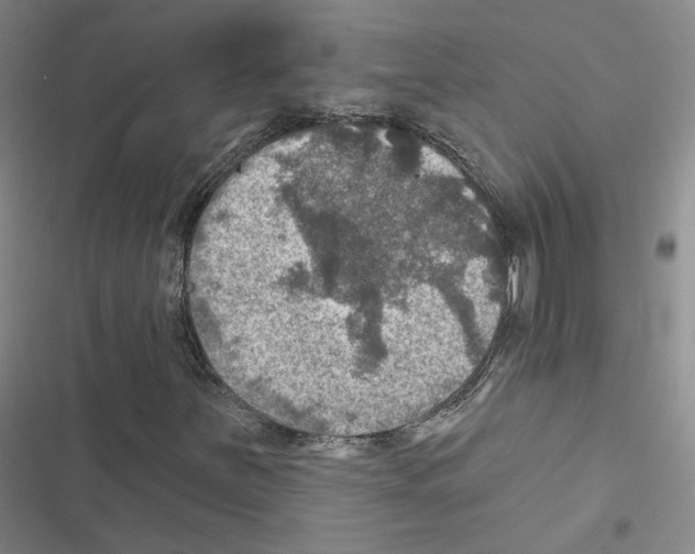 X0000116451251201001191545