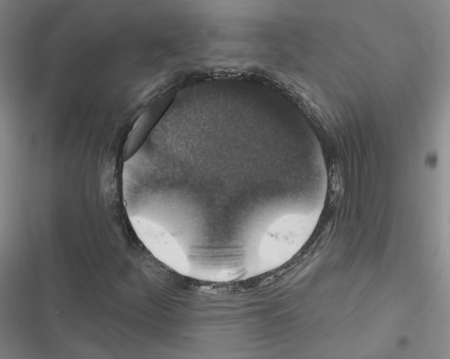 X0000116451252201001191545