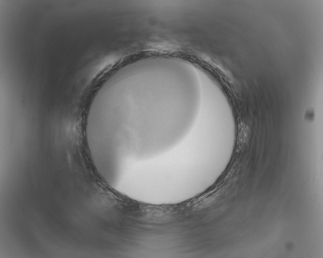 X0000116451254201001191545